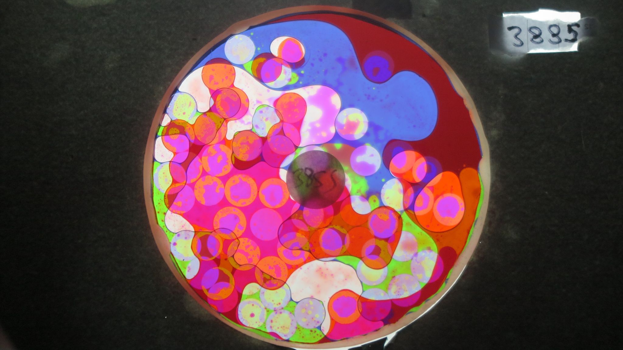 BV3885 bubble vision oil wheel